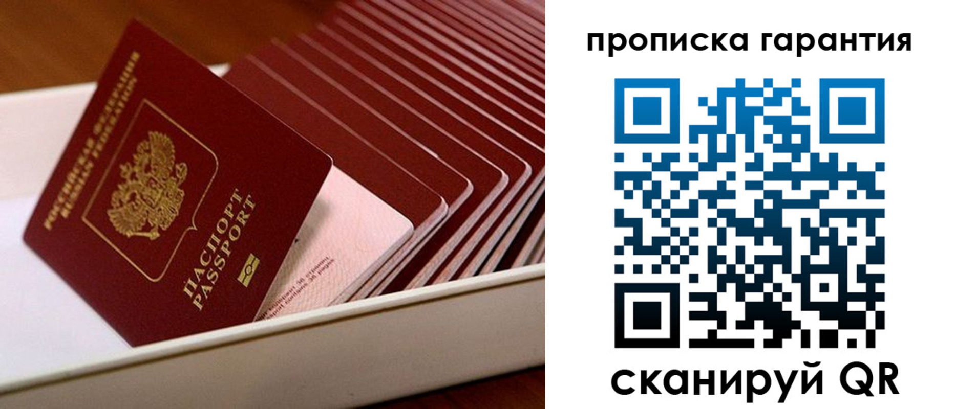 прописка поиск в Покрове